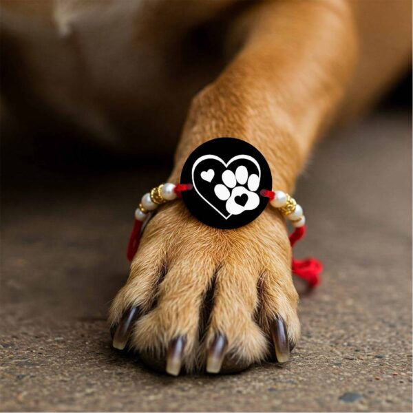 Black Love Paw Pet Rakhi