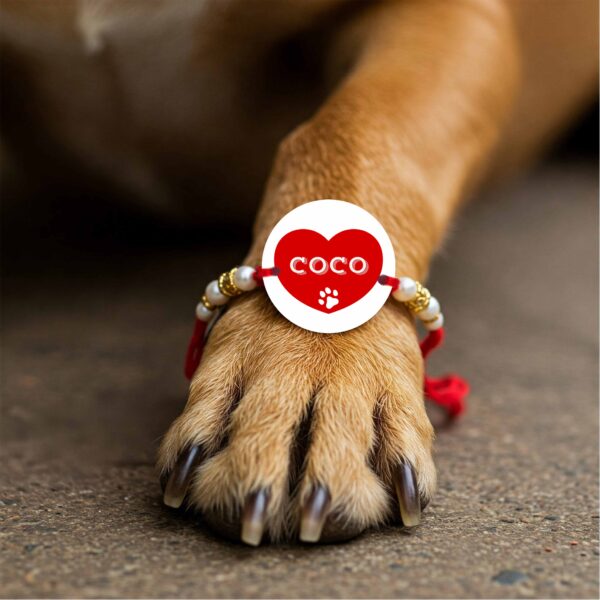 Coco Heart Printed MDF Pet Rakhi
